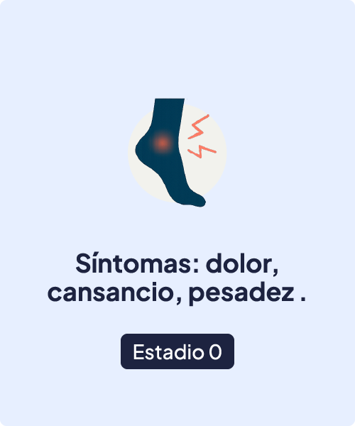 Estadio 0