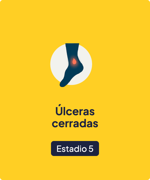 Estadio 5